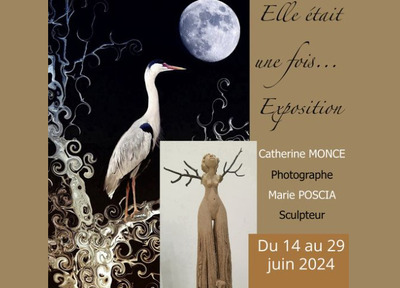 🌟 Exposition 🌟