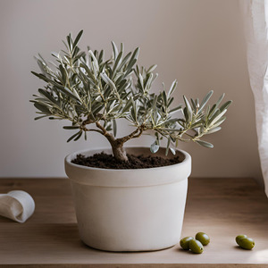 LAgence CABANIS ORPI Partage avec Vous la Crmonie des 