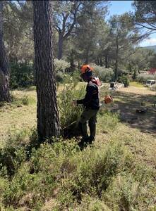 L'Agence Immobilire Cabanis Sanary-Sur-Mer : Dbrouissaller, un acte citoyen !