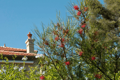 L'Agence CABANIS vous prsente le quartier de 