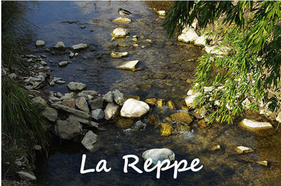 L'AGENCE CABANIS ET LA CAMPAGNE DE DEBROUSSAILLEMENT