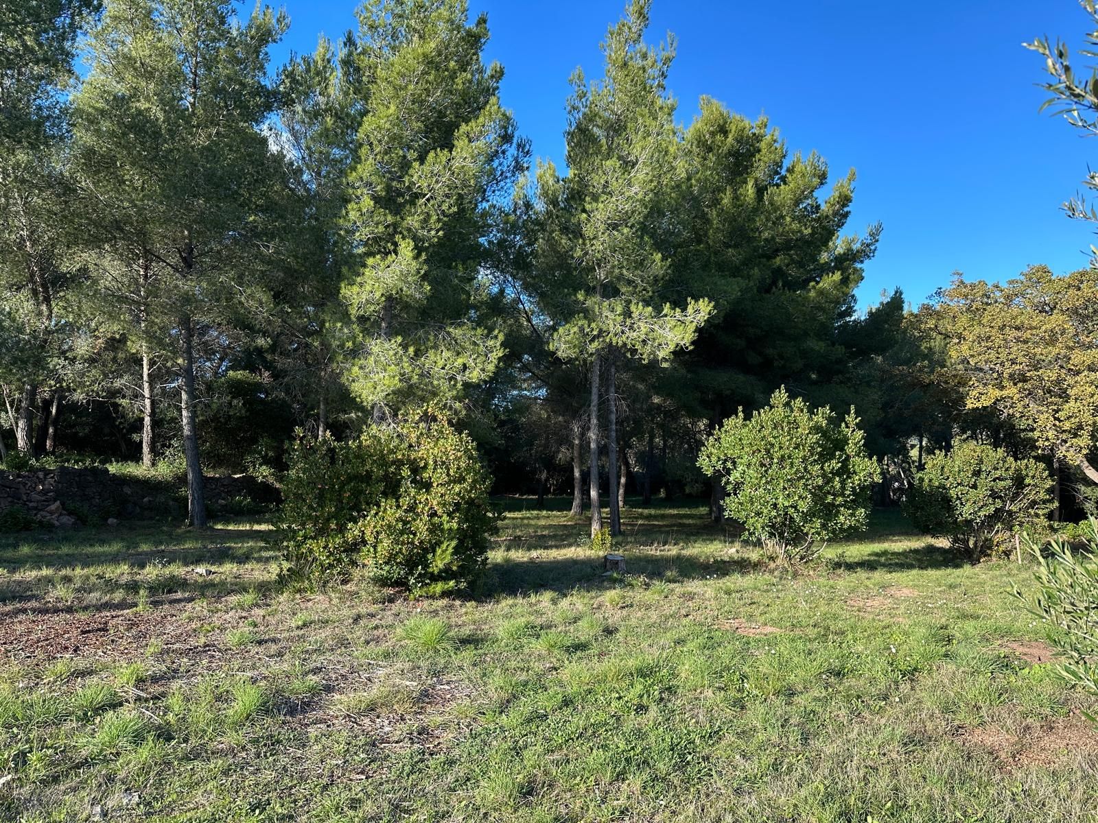 Terrain - OLLIOULES
