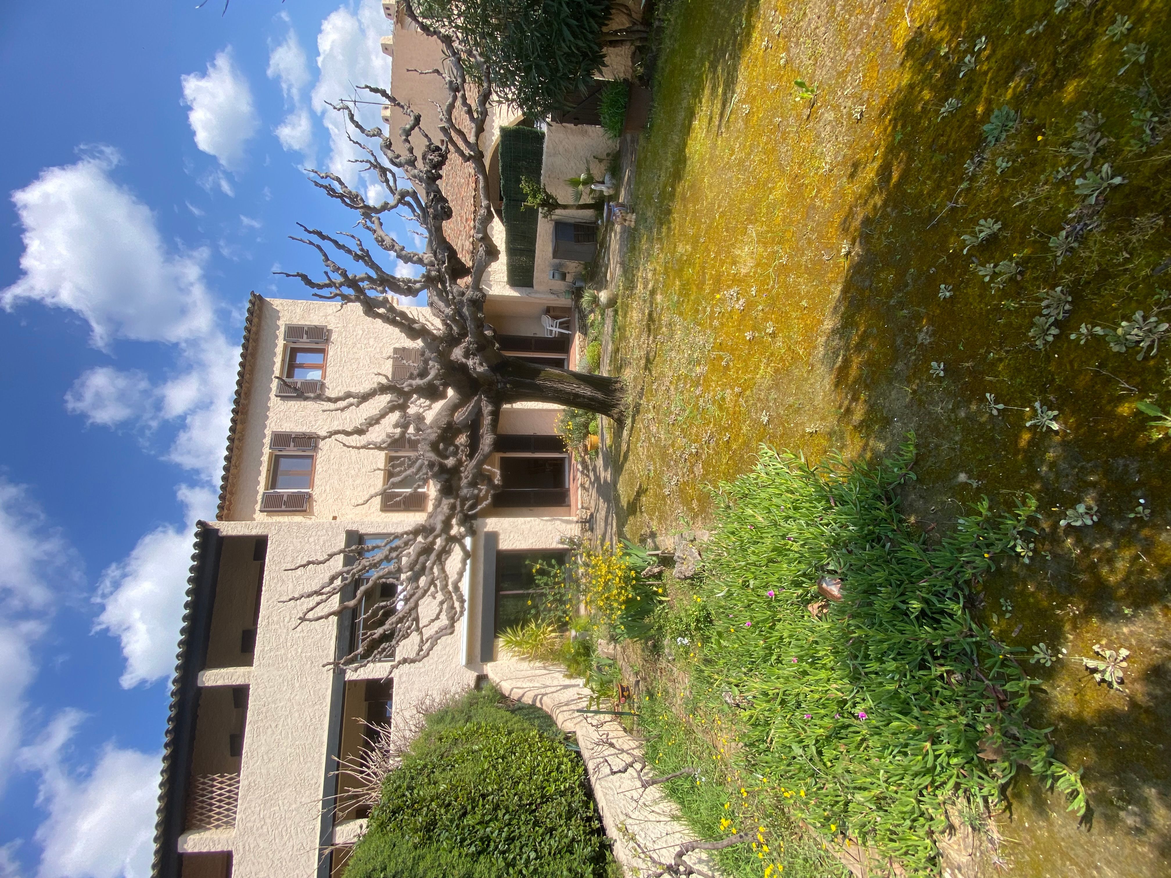 Appartement - LE BEAUSSET