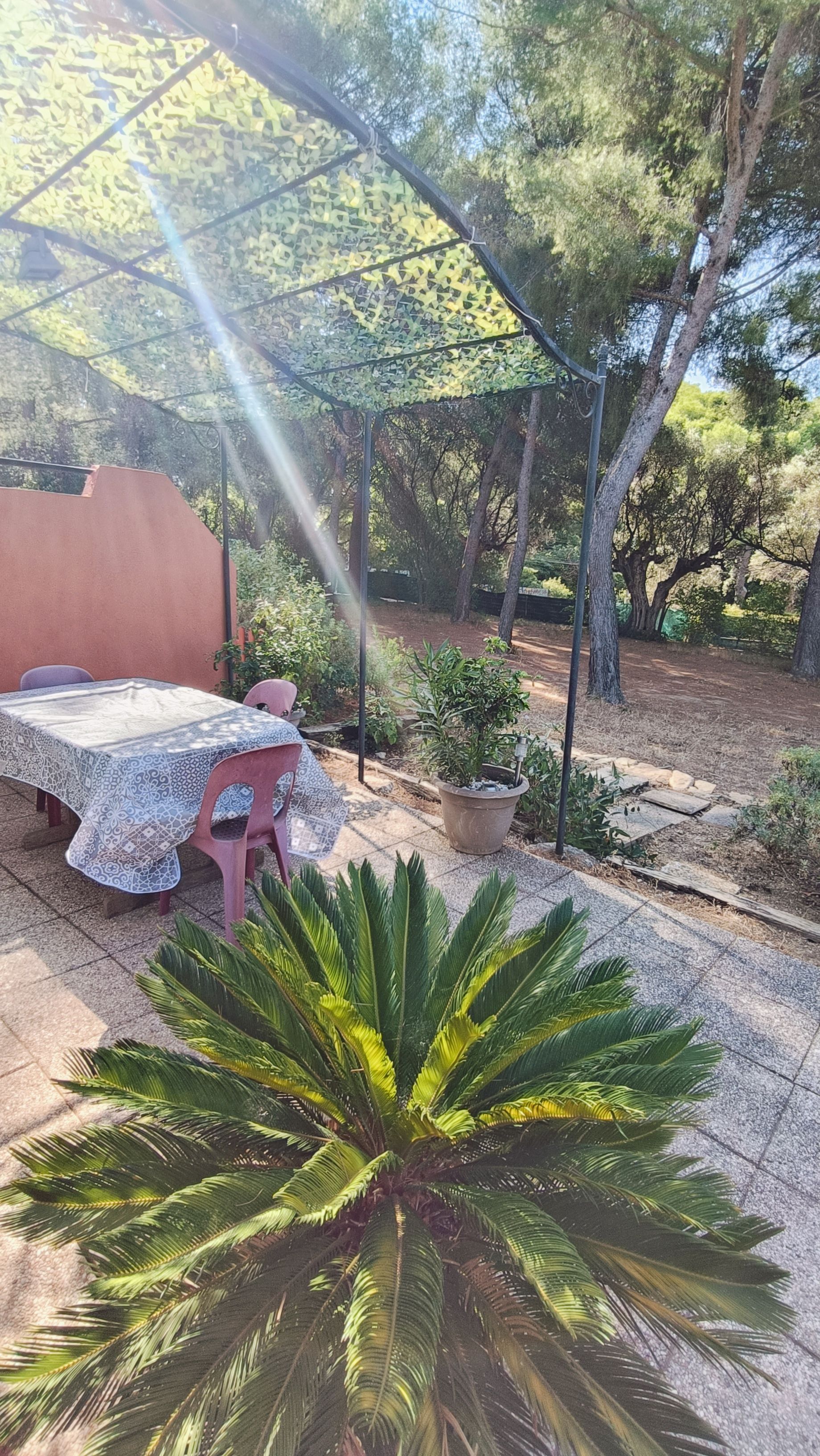 Appartement - OLLIOULES