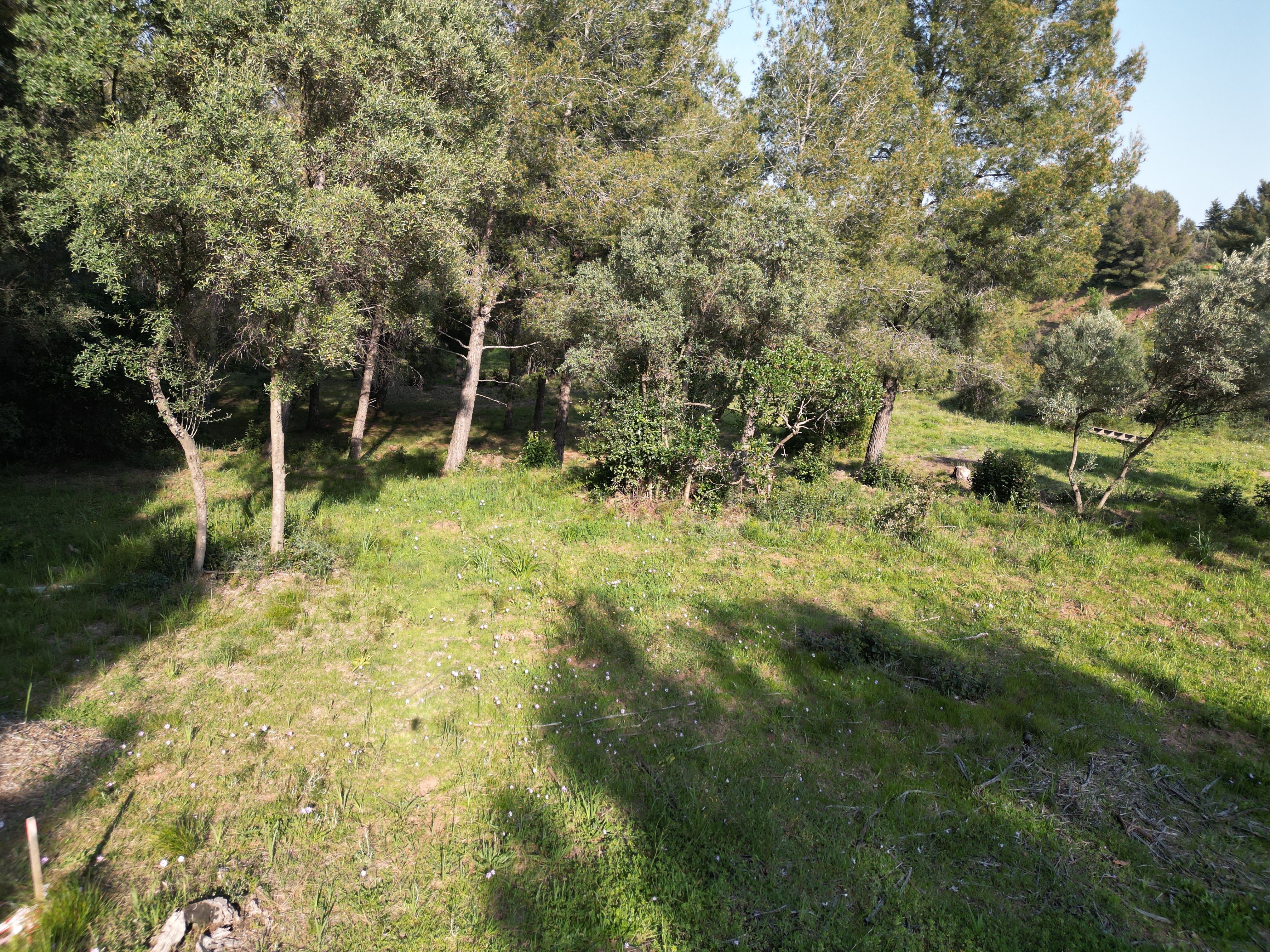 Terrain - OLLIOULES