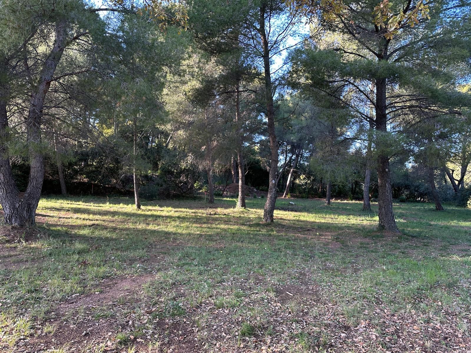 Terrain - OLLIOULES